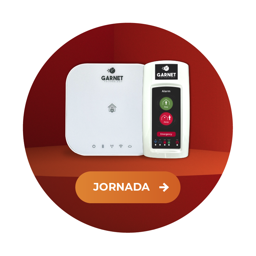 Webinar Garnet - Dealtec