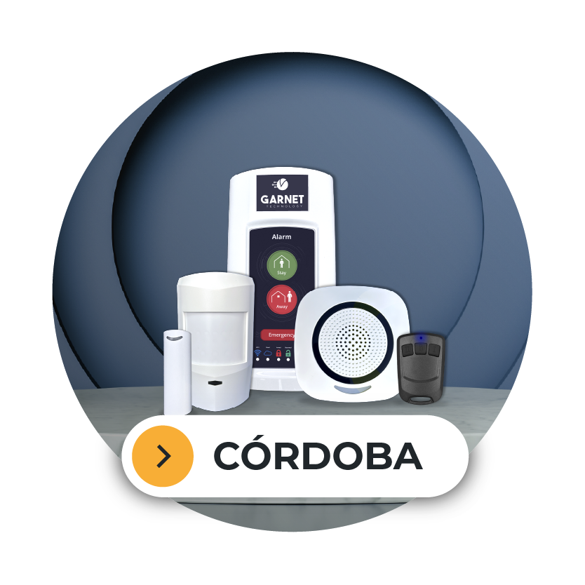 19 DE NOVIEMBRE GARNET - IR SEGURIDAD