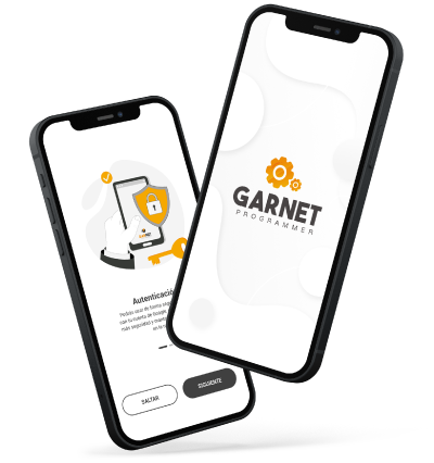 aplicación Garnet programmer