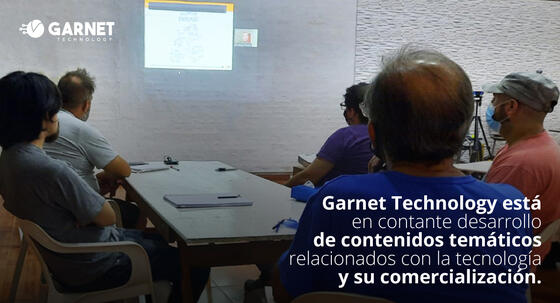 Garnet Technology Seguridad