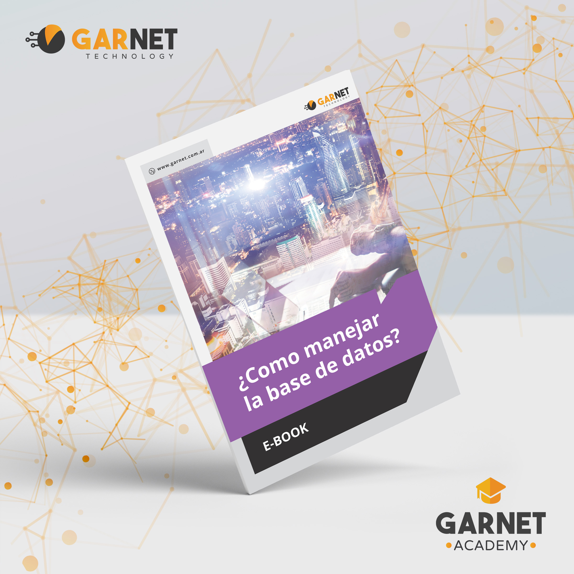 Como manejar una base de datos por Garnet Technology