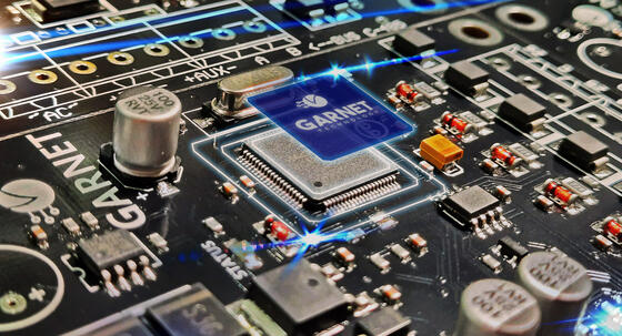 Placa de producto de Garnet Technology