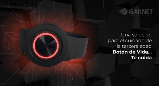 Boton de Vida Garnet Technology 