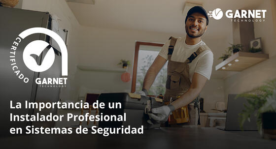 La Importancia de un Instalador Profesional en Sistemas de Seguridad